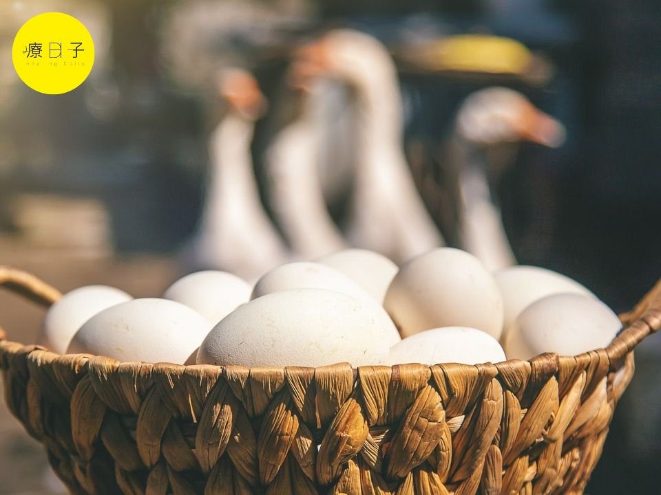 雞蛋可以用什麼替代？鴨蛋、皮蛋、鹹蛋營養一表看懂！  雞蛋可以用什麼替代？鴨蛋、皮蛋、鹹蛋營養一表看懂！ - 療日子健康