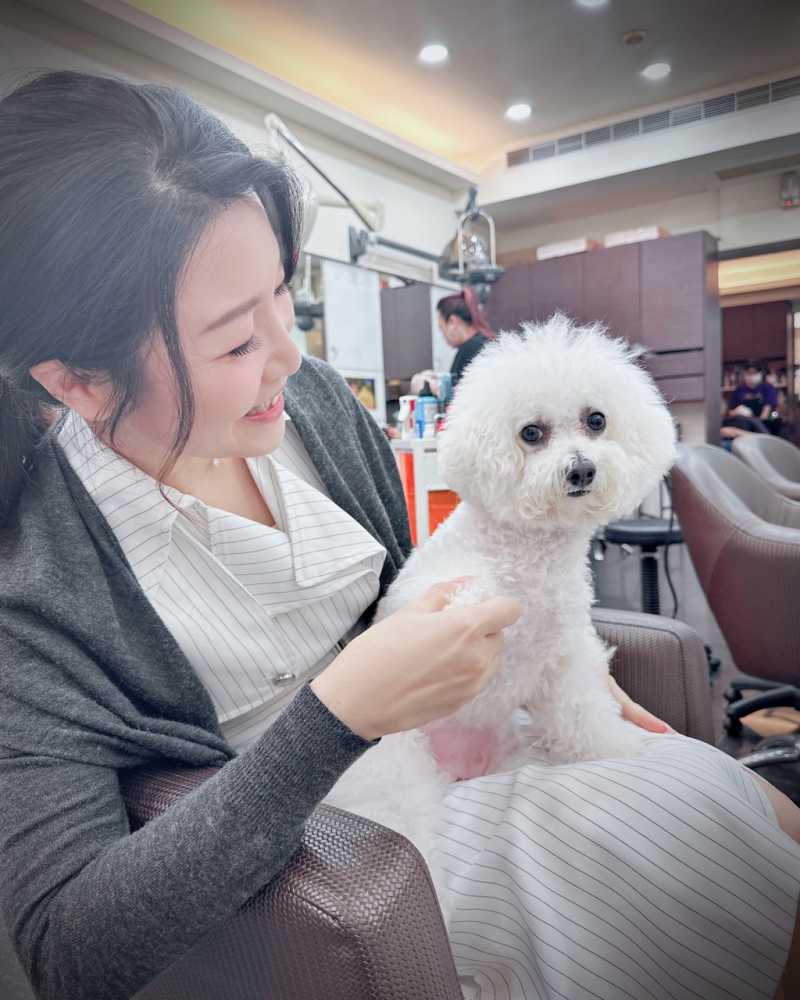 遇到可愛小比熊