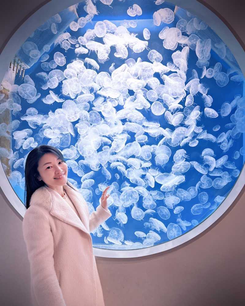 水族館裡的水母飄著飄著好療癒 #余朱青